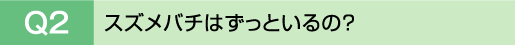 Q2�@�X�Y���o�`�͂����Ƃ���́H