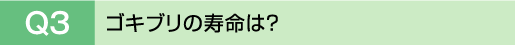 Q3�@�S�L�u���̎����́H