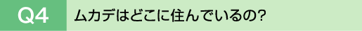 Q4�@���J�f�͂ǂ��ɏZ��ł���́H