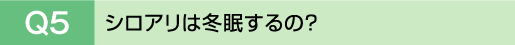 Q5�@�V���A���͓~������́H