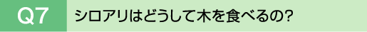 Q7�@�V���A���͂ǂ����Ė؂�H�ׂ�́H