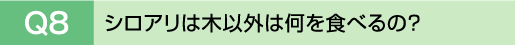 Q8�@�V���A���͖؈ȊO�͉���H�ׂ�́H