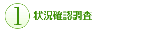 状況確認調査