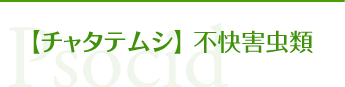 【チャタテムシ】不快害虫類