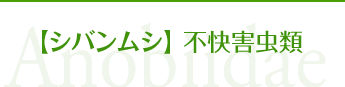 【シバンムシ】不快害虫類