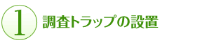 調査トラップの設置