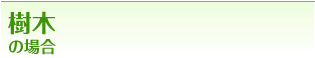 樹木の場合